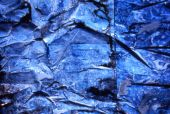 Blauhaut (Detail)