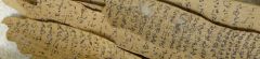 Rindenschrift